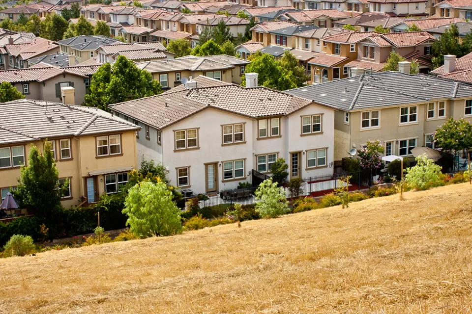 Edge condition houses transect